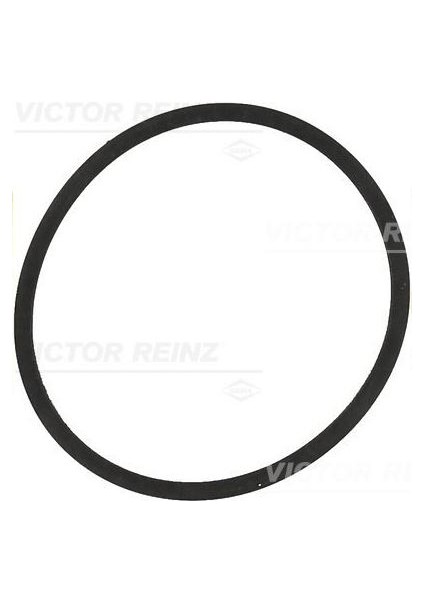 Reınz RNZ-71-34204-00 Emme Manifold Contası Polo Iıı-Cordoba-...