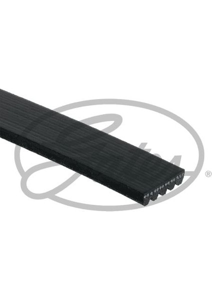 GAT-5PK1303 Kanallı Kayış Vw Passat 1.8 T 97-00 58389