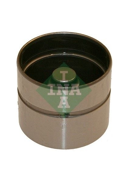 INA-420011810 Subap Fincanı Astraf-G 94- -Corsab-C-Vectra...