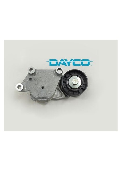 Hutchınson HTN-T0221 Alternatör Gergi Rulmanı Kütüklü P206 1....