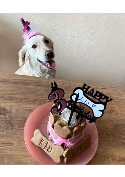 Köpekler Için Doğum Günü/ Parti Şapkası Pembe Siyah Kukuleta modelleri