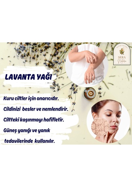 Sera Natura Tıbbi Lavanta Uçucu Yağı 10 Ml. %100 Saf