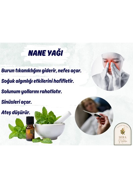 Sera Natura Nane Uçucu Yağı 10 Ml. %100 Saf