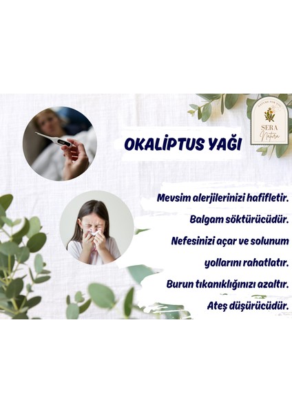 Sera Natura Okaliptus Uçucu Yağı 10 Ml. %100 Saf