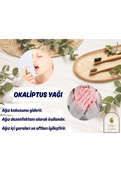 Sera Natura Okaliptus Uçucu Yağı 10 Ml. %100 Saf