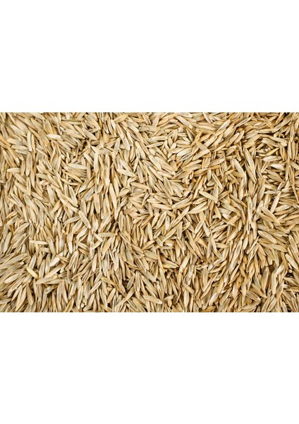 Esin Tohum Grass Mixture 7 Çeşit (7m) Çim Tohumu 1 kg