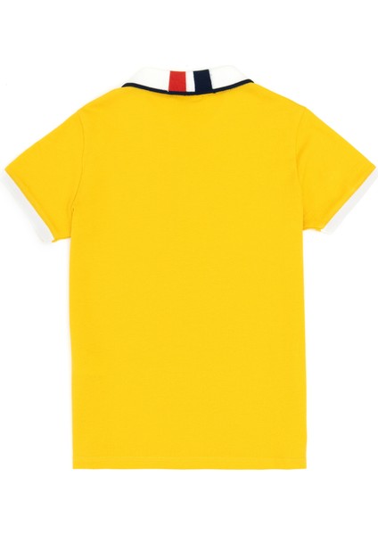 Erkek Çocuk Safran Tişört Basic 50279570-VR043 modelleri