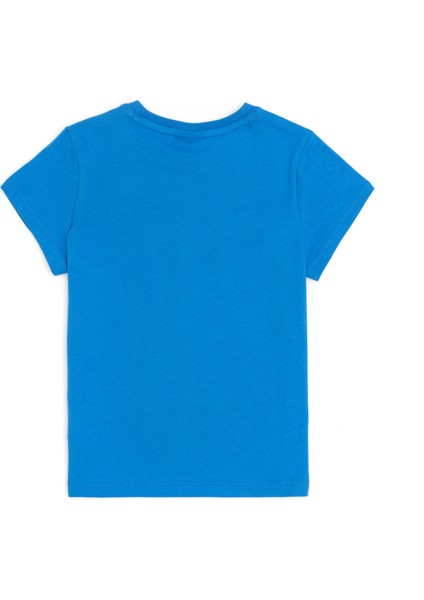 Erkek Çocuk Saks Tişört Basic 50279614-VR045 fiyatları