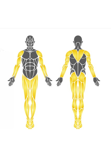 Park Spor Aleti, Ikili Yürüyüş Aleti modelleri