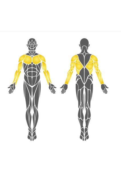 Açık Alan Fitness Aleti, Kol ve Omuz Çalıştırma Aleti modelleri