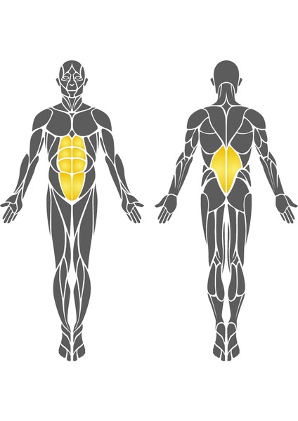 Dış Mekan Spor Aleti, Mekik Çekme Aleti modelleri