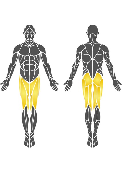 Açık Alan Fitness Aleti, Bacak Güçlendirme Aletii fırsatları