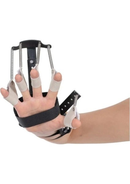 Dinamik El Ateli - (L) - Sol modelleri