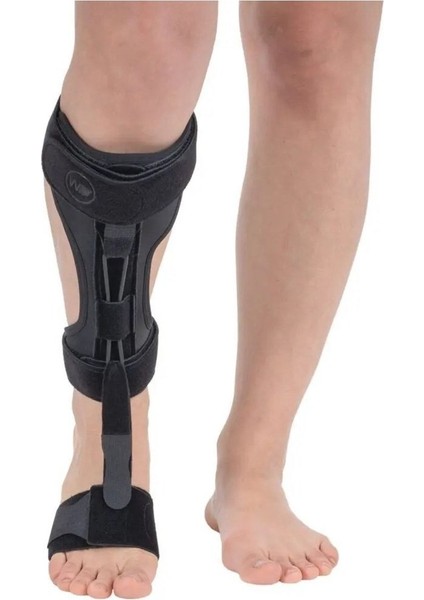 Wıngmed Dorsifleksiyon Brace Plus Düşük Ayak (W 644)