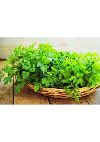 1 kg Üre Gübresi Azotlu Saf Azot modelleri