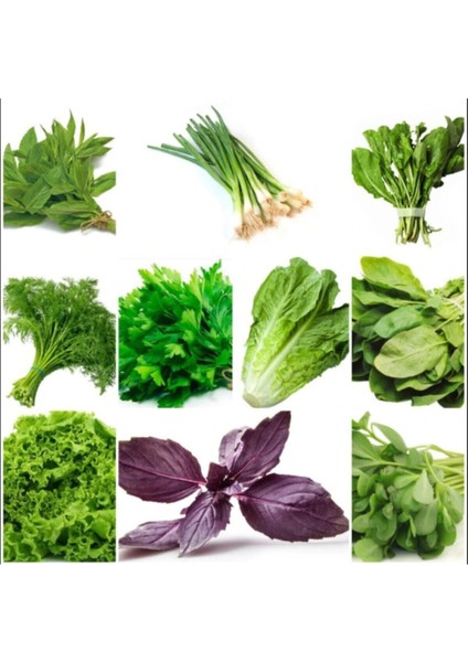 1 kg Üre Gübresi Azotlu Saf Azot fırsatları