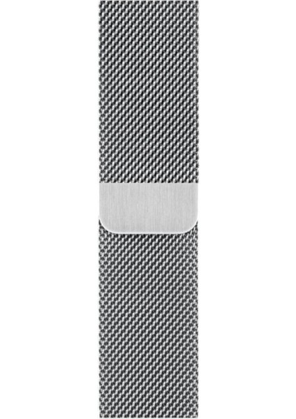Apple Watch Uyumlu 38MM / 40MM / 41MM Milano Kordon Metal Kayış Sılver/gümüş fiyatları