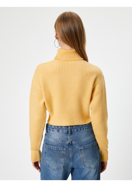 Crop Triko Kazak Balıkçı Yaka Uzun Kollu Akrilik Karışımlı fırsatları