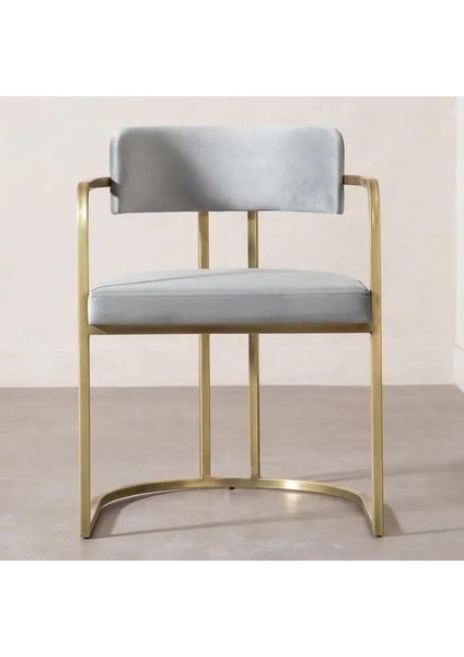 Elliot Metal Modern Tasarım Sandalye fırsatları