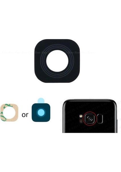 Samsung Galaxy S8 G950F İle Uyumlu Kamera Camı