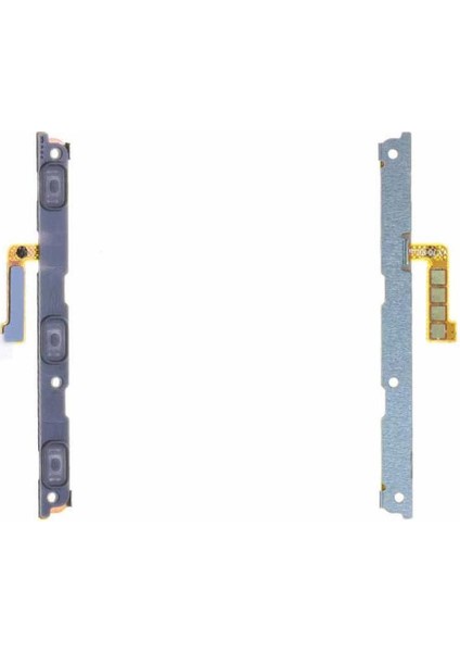 Samsung Galaxy S10 G973F İle Uyumlu Yan Ses Film Flex
