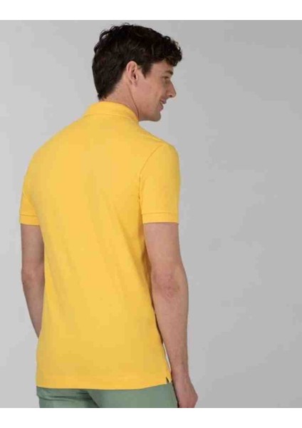Polo Paris Regular Sarı modelleri