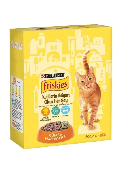 Tavuklu 10 x 300 gr Yetiskin Kuru Kedi Maması fiyatları