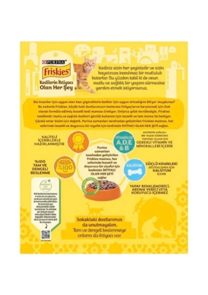 Tavuklu 10 x 300 gr Yetiskin Kuru Kedi Maması modelleri