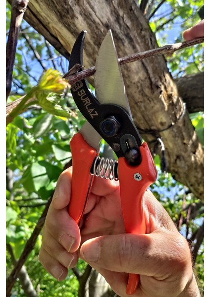 Tekno Trust Bağ Budama Makası Paslanmaz Çelik Bahçe Makas