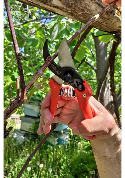 Tekno Trust Bağ Budama Makası Paslanmaz Çelik Bahçe Makas modelleri