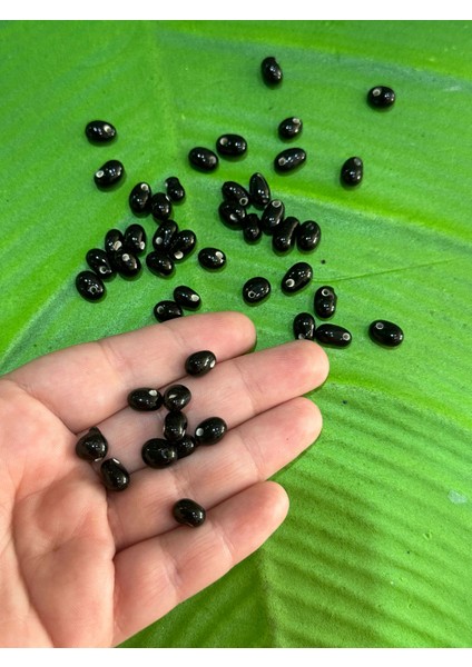 00.50 cm 47 Adet Siyah Cam Boncuk