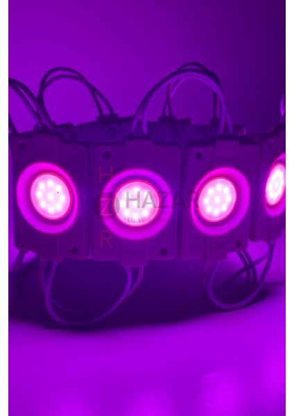 12 Volt 2.4 Watt Tekli Su Geçirmez Modül Led Pembe (10 Adet) indirimleri