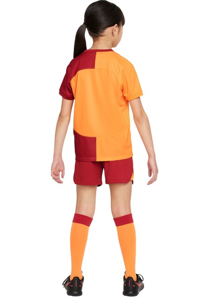 GS Store Nike Galatasaray 2023/2024 Çocuk Parçalı Iç Saha Forma Set FJ6954-836