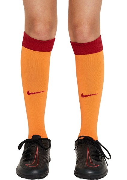 GS Store Nike Galatasaray 2023/2024 Çocuk Parçalı Iç Saha Forma Set FJ6954-836