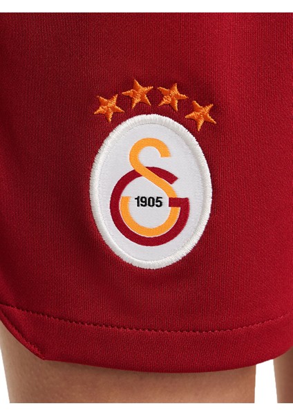 GS Store Nike Galatasaray 2023/2024 Çocuk Parçalı Iç Saha Forma Set FJ6954-836