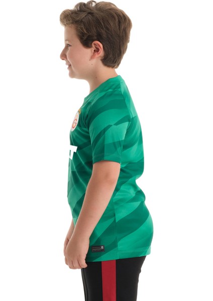 Nike Galatasaray 2023/2024 Genç Çocuk Kaleci Forma FJ6326-365 fiyatları