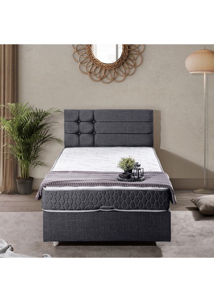 Viyana İkili Set Tek Kişilik Baza Başlık - Antrasit