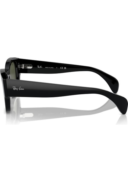 Rayban 0RB7681S 901/31 52 Kadın Güneş Gözlüğü indirimleri