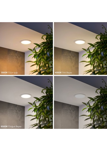 MX-1002B - 6W 6500K Soğuk Beyaz Beyaz Kasa Sıva Altı Yuvarlak LED Panel fırsatları