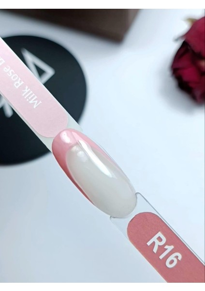 Paint Gel R16 fiyatları