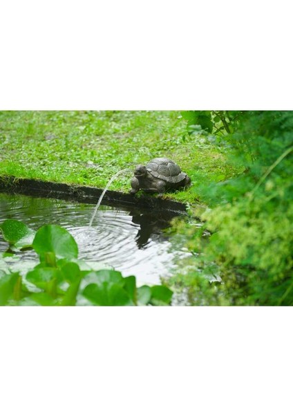 Poollıne Turtle Dekoratif Figürlü Süs Havuz Fıskiyesi