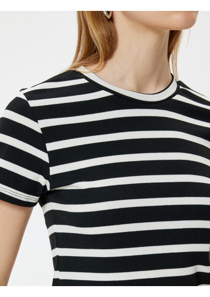 Basic T-Shirt Kısa Kollu Bisiklet Yaka Slim Fit