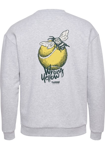 Loose Crew Sweatshırt modelleri