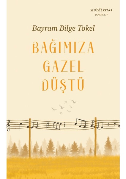 Bağımıza Gazel Düştü - Bayram Bilge Tokel