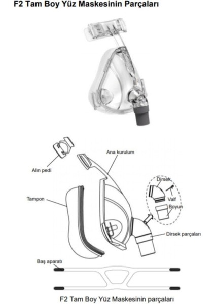Tam Yüz Maskesi (Slikon Esaslı) (Oranazal) Large modelleri