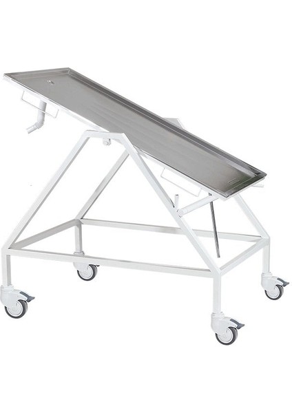 Veteriner Muayene Masası Tekerlekli