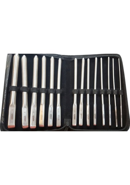 Şarjlı Masa Tipi Otoskop