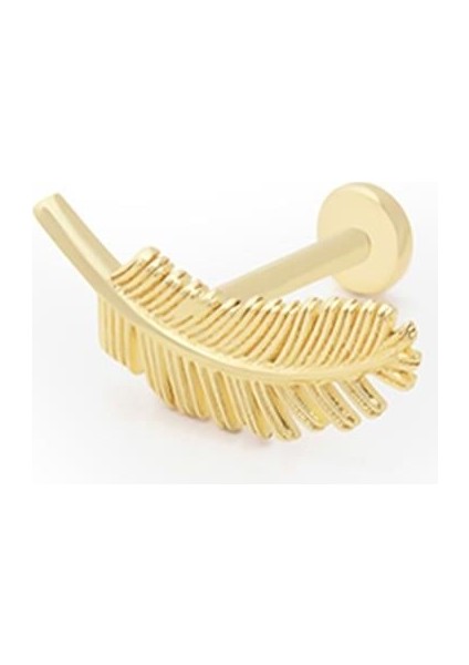 Tüy Piercing