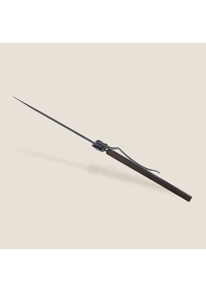 37G, Carbon Fiber fırsatları