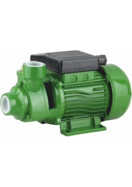Pm 50 1 Hp 220V Preferikal Sürtme Fanlı Pompa